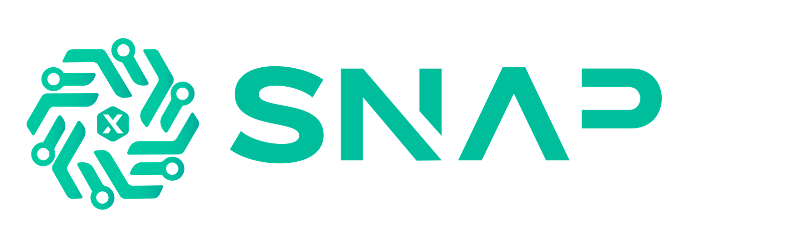 SNAPX TECHNOLOGIES LLP - OFFICIAL